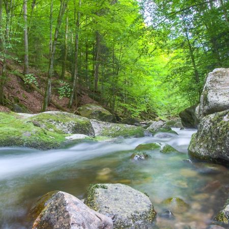 400Qm Bayerische Villa 2500Qm Uneinsehbarer Garten In Beliebter Urlaubsregion Freyung Bagian luar foto