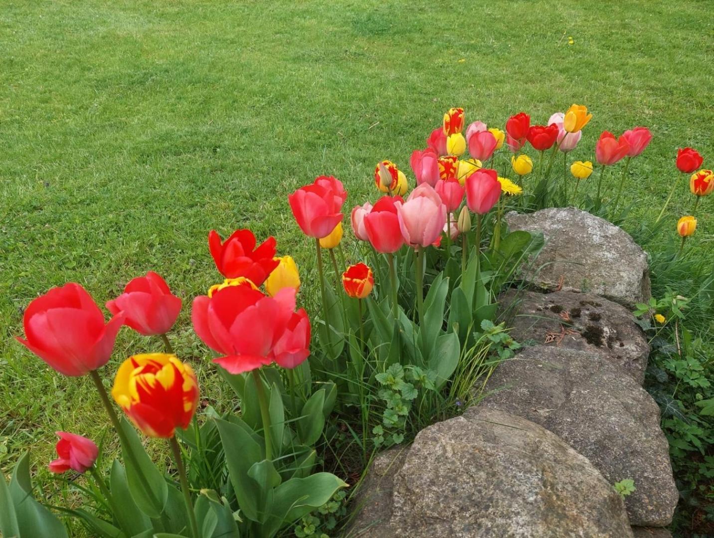 400Qm Bayerische Villa 2500Qm Uneinsehbarer Garten In Beliebter Urlaubsregion Freyung Bagian luar foto
