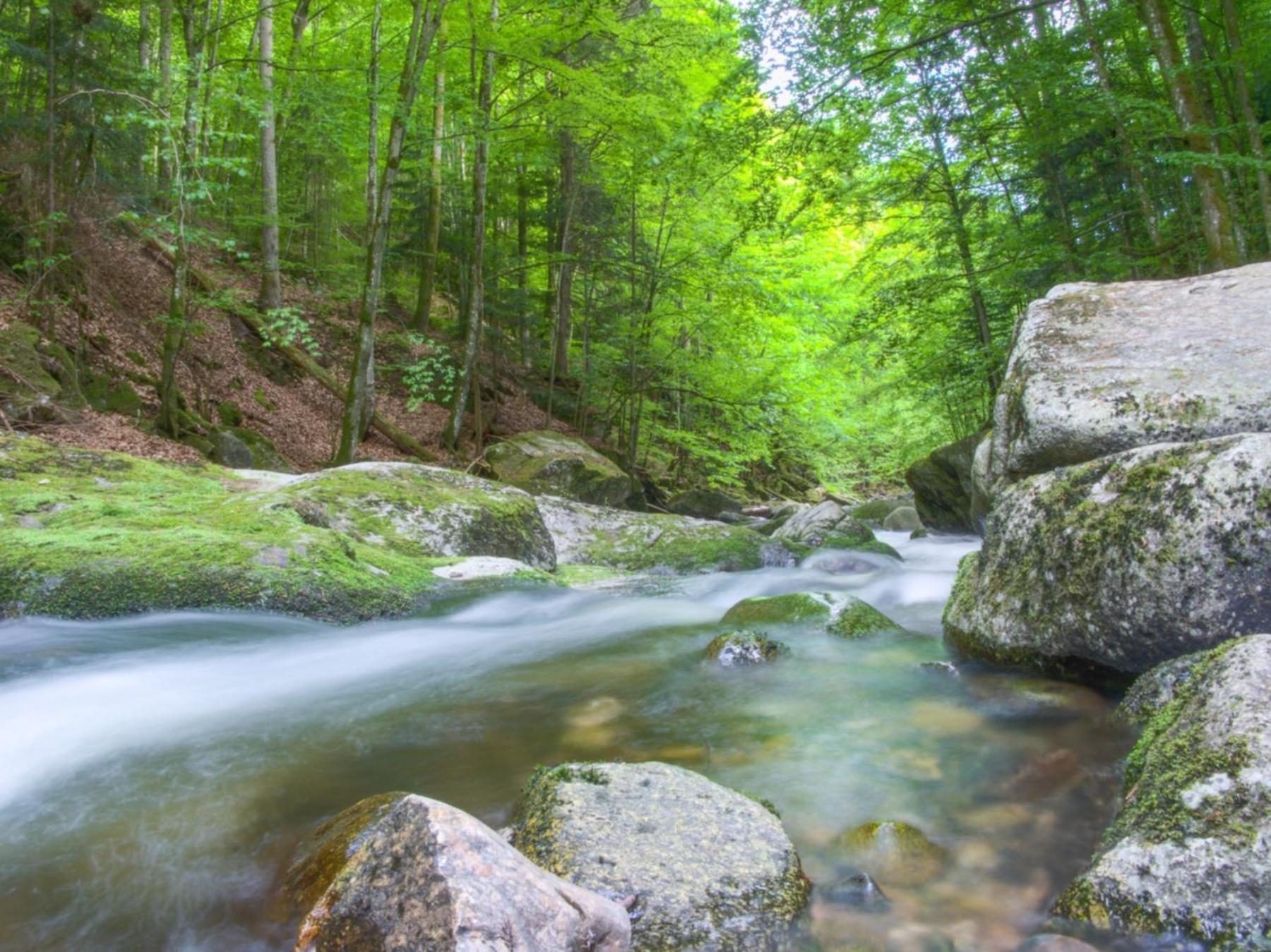 400Qm Bayerische Villa 2500Qm Uneinsehbarer Garten In Beliebter Urlaubsregion Freyung Bagian luar foto